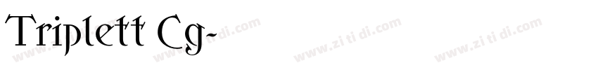 Triplett Cg字体转换
